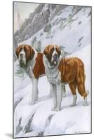 Two St Bernards in Snow-Louis Agassiz Fuertes-Mounted Art Print