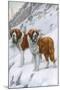 Two St Bernards in Snow-Louis Agassiz Fuertes-Mounted Art Print