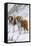 Two St Bernards in Snow-Louis Agassiz Fuertes-Framed Stretched Canvas