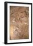 Two Stags, from the Caves of Altamira, C.15000 BC (Cave Painting)-Prehistoric Prehistoric-Framed Giclee Print