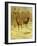 Two Stags in a Clearing in Winter-Rosa Bonheur-Framed Giclee Print