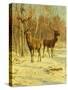 Two Stags in a Clearing in Winter-Rosa Bonheur-Stretched Canvas