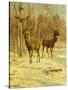 Two Stags in a Clearing in Winter-Rosa Bonheur-Stretched Canvas