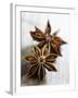 Two Star Anise-Victoria Firmston-Framed Photographic Print