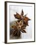 Two Star Anise-Victoria Firmston-Framed Photographic Print