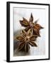 Two Star Anise-Victoria Firmston-Framed Photographic Print