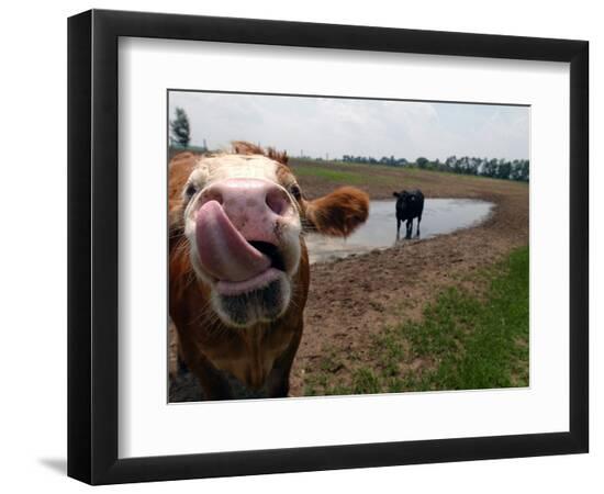 Photographic Print, , large