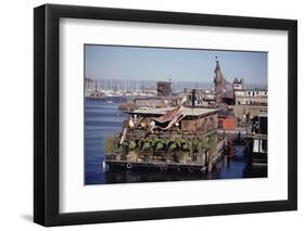 Two-Story Floating Home Covered in Hanging and Potted Plants, Sausalito, CA, 1971-Michael Rougier-Framed Photographic Print