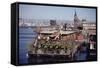 Two-Story Floating Home Covered in Hanging and Potted Plants, Sausalito, CA, 1971-Michael Rougier-Framed Stretched Canvas