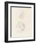 Two Studies for Arthur from Shakespeare's 'King John' (Pencil, Chalk and Stump on Paper)-George Henry Harlow-Framed Giclee Print