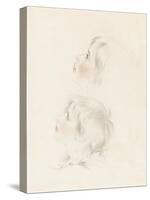 Two Studies for Arthur from Shakespeare's 'King John' (Pencil, Chalk and Stump on Paper)-George Henry Harlow-Stretched Canvas