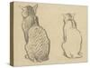 Two Studies of a Cat-Theophile Alexandre Steinlen-Stretched Canvas