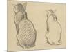 Two Studies of a Cat-Theophile Alexandre Steinlen-Mounted Giclee Print