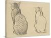 Two Studies of a Cat-Theophile Alexandre Steinlen-Stretched Canvas