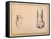 Two Studies of a Foot in Foreshortening-Agostino Carracci-Framed Stretched Canvas