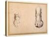 Two Studies of a Foot in Foreshortening-Agostino Carracci-Stretched Canvas