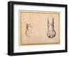 Two Studies of a Foot in Foreshortening-Agostino Carracci-Framed Giclee Print