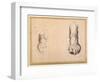 Two Studies of a Foot in Foreshortening-Agostino Carracci-Framed Giclee Print