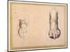 Two Studies of a Foot in Foreshortening-Agostino Carracci-Mounted Giclee Print