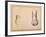 Two Studies of a Foot in Foreshortening-Agostino Carracci-Framed Giclee Print