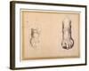 Two Studies of a Foot in Foreshortening-Agostino Carracci-Framed Giclee Print