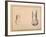 Two Studies of a Foot in Foreshortening-Agostino Carracci-Framed Giclee Print