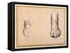 Two Studies of a Foot in Foreshortening-Agostino Carracci-Framed Stretched Canvas