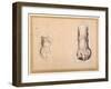 Two Studies of a Foot in Foreshortening-Agostino Carracci-Framed Giclee Print