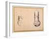 Two Studies of a Foot in Foreshortening-Agostino Carracci-Framed Giclee Print