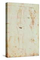 Two Studies of a Hanging Skeleton-Leonardo da Vinci-Stretched Canvas