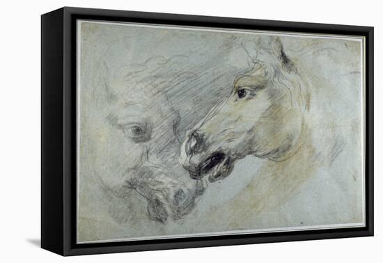 Two Studies of a Horse's Head-Jan Boeckhorst-Framed Stretched Canvas