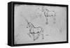 'Two Studies of Horses, One of a Galloping Horseman and Others of Horses' Legs', c1480 (1945)-Leonardo Da Vinci-Framed Stretched Canvas