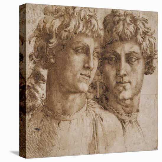 Two Studies of the Head of a Youth, C.1550-Baccio Bandinelli-Stretched Canvas