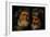 Two Studies of the Head of an Old Man, C.1630-Jacob Jordaens-Framed Giclee Print