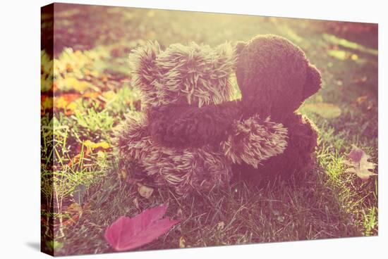 Two Stuffed Bears Hugging. Instagram Effect-soupstock-Stretched Canvas