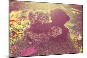 Two Stuffed Bears Hugging. Instagram Effect-soupstock-Mounted Photographic Print