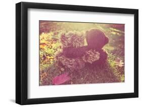 Two Stuffed Bears Hugging. Instagram Effect-soupstock-Framed Photographic Print