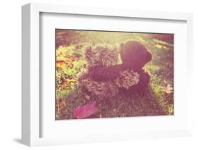Two Stuffed Bears Hugging. Instagram Effect-soupstock-Framed Photographic Print