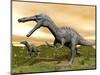 Two Suchomimus Dinosaurs Running-null-Mounted Art Print