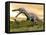 Two Suchomimus Dinosaurs Running-null-Framed Stretched Canvas