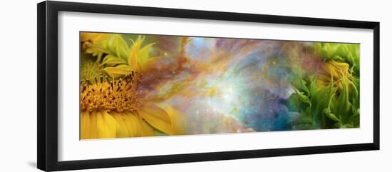 Two Sunflowers with Gaseous Nebula-null-Framed Photographic Print