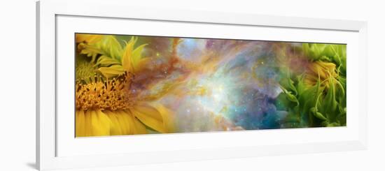 Two Sunflowers with Gaseous Nebula-null-Framed Photographic Print