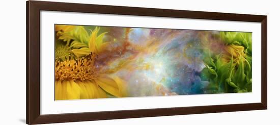 Two Sunflowers with Gaseous Nebula-null-Framed Photographic Print