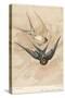 Two Swallows-J Giacomelli-Stretched Canvas
