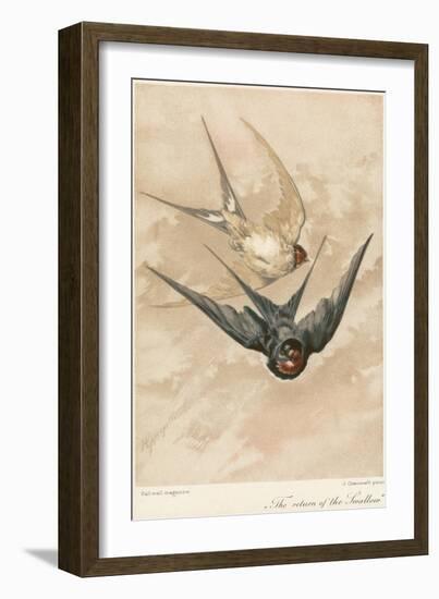 Two Swallows-J Giacomelli-Framed Photographic Print