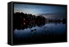 Two Swans in the Lake in Ibirapuera Park at Dusk-Alex Saberi-Framed Stretched Canvas