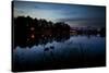 Two Swans in the Lake in Ibirapuera Park at Dusk-Alex Saberi-Stretched Canvas