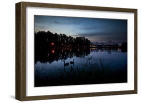 Two Swans in the Lake in Ibirapuera Park at Dusk-Alex Saberi-Framed Photographic Print