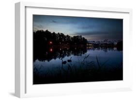 Two Swans in the Lake in Ibirapuera Park at Dusk-Alex Saberi-Framed Photographic Print