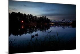 Two Swans in the Lake in Ibirapuera Park at Dusk-Alex Saberi-Mounted Photographic Print